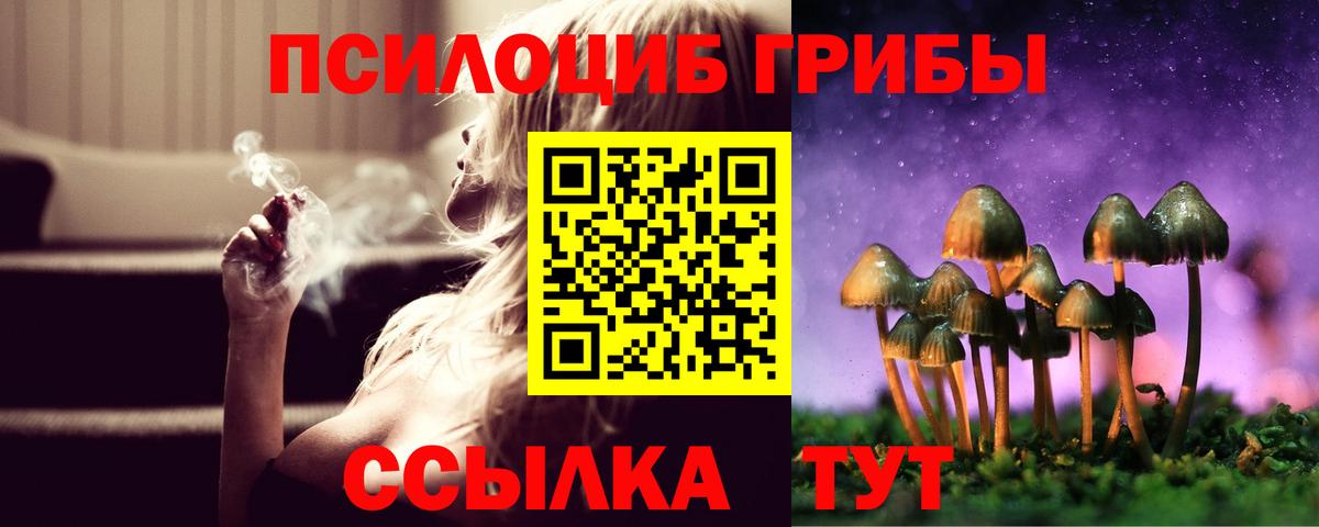 Псилоцибиновые грибы Psilocybine cubensis  Вход с VPN  Галлюциногенные грибы Psilocybe  Миллерово 